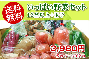 宮崎産いっぱい野菜セット