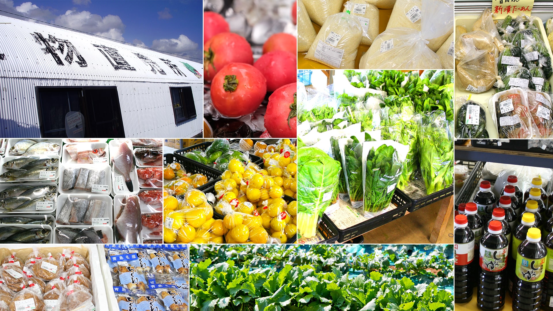 【ネズミちゃんさま専用】宮崎県産　摘花マンゴー約10キロ Amazon.co.jp: マンゴー ギフト 鑑定書付き 赤秀 完熟 宮崎県